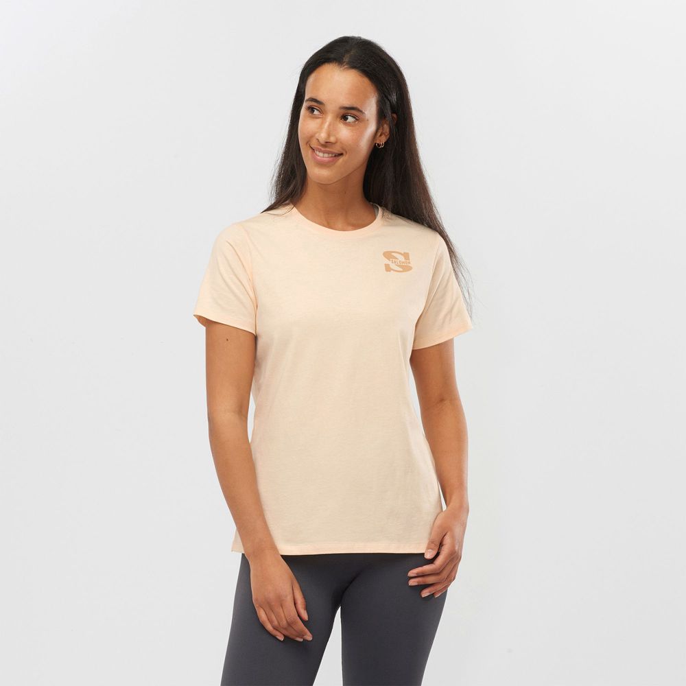 Salomon T-Shirts Dame Khaki - OUTLIFE SMALL LOGO SS W (ZJVBD-9561)